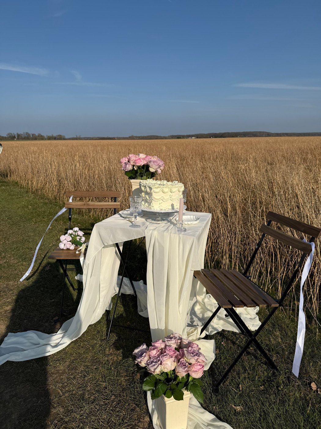 Huwelijksaanzoek in een rietveld, met een wit gedrapeerde tafel, een taart, roze rozen en twee houten stoelen onder een blauwe lucht